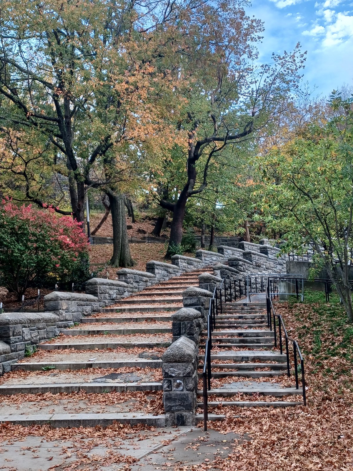 ハーレム、Marcus Garvey Park（マーカス・ガーヴィ公園）の階段
